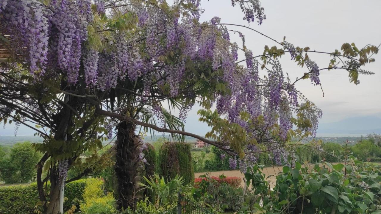 Casa Rosanna Holiday home