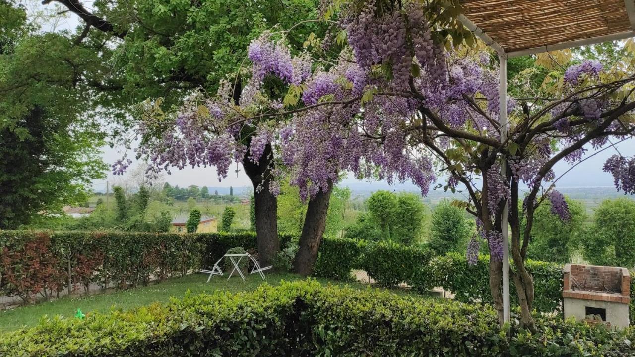 Casa Rosanna Holiday home *